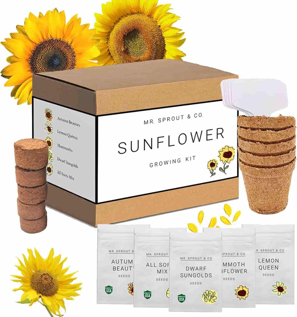 gardening gifts for mom Sunflower Seed Starter Kit