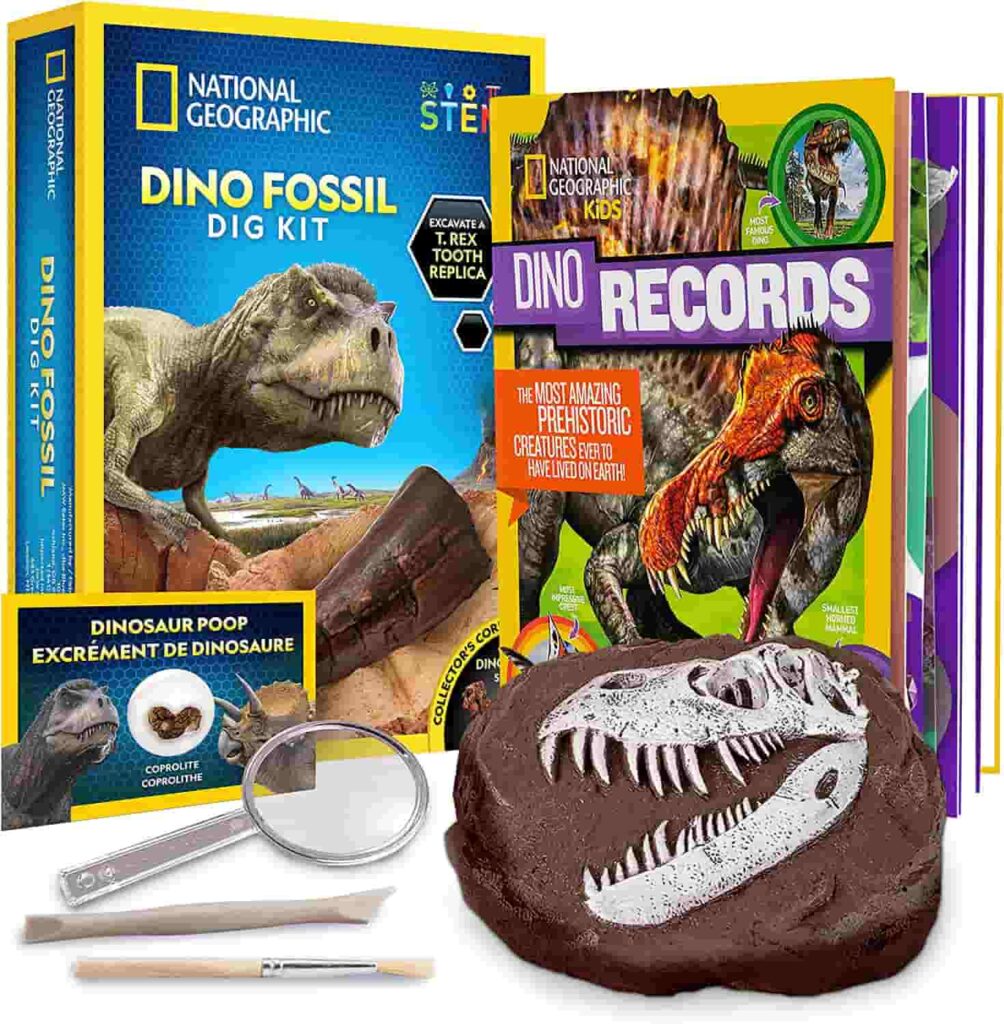Dino Dig Kit & Dinosaur Book