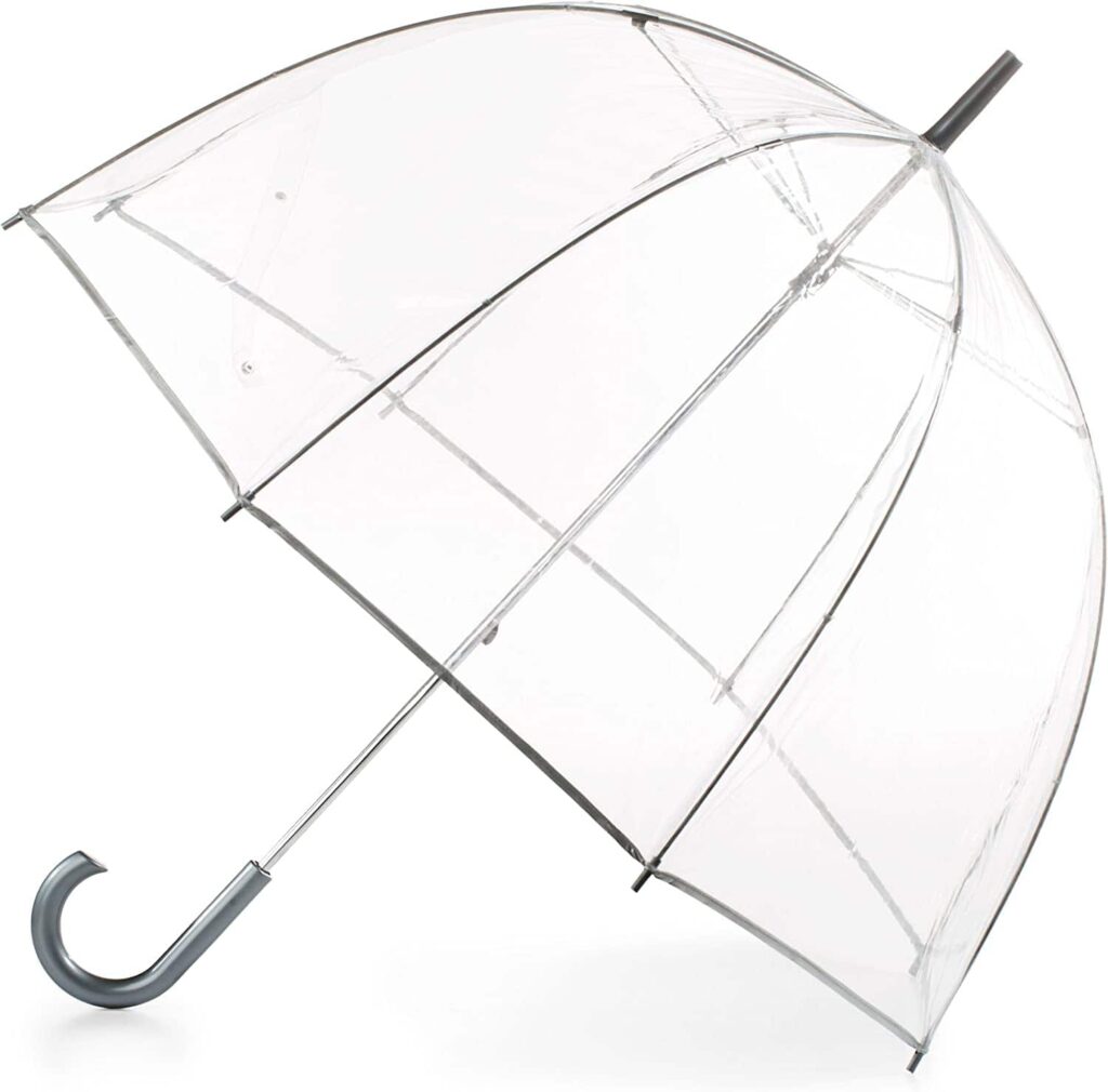 What to Bring to a Concert/ Clear Bubble Umbrella