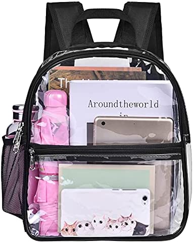 What to Bring to a Concert/ Clear Mini Backpack