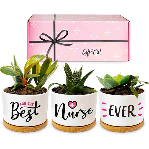 gifts for labor and delivery nurses/ Cute Planters