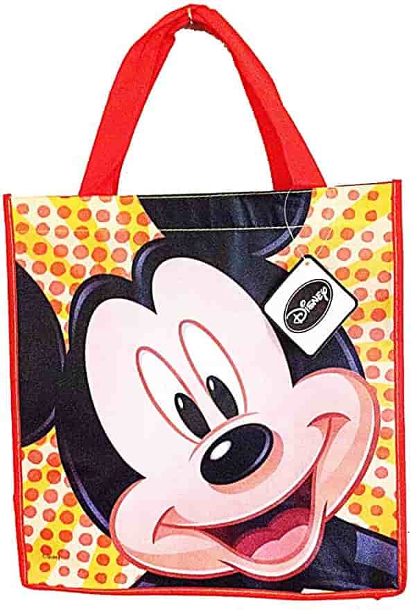What to Bring to Disneyland/ Reusable Shopping Bag